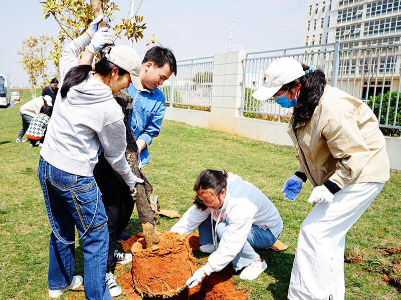 心系公益 生生不息 | 植绿护蓝，共筑生态家园的天坛力量