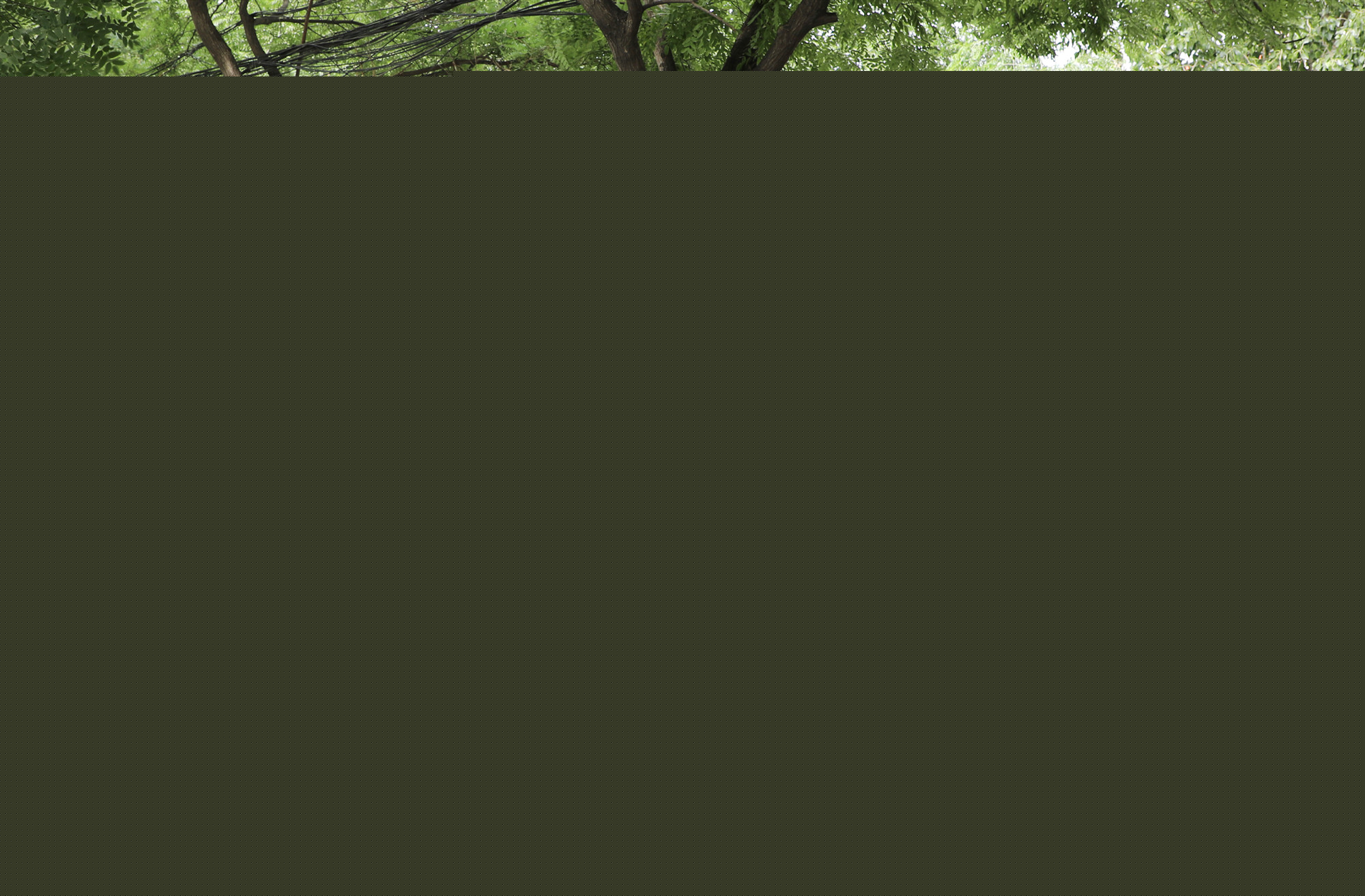 为民服务办实事  助力发展接力跑